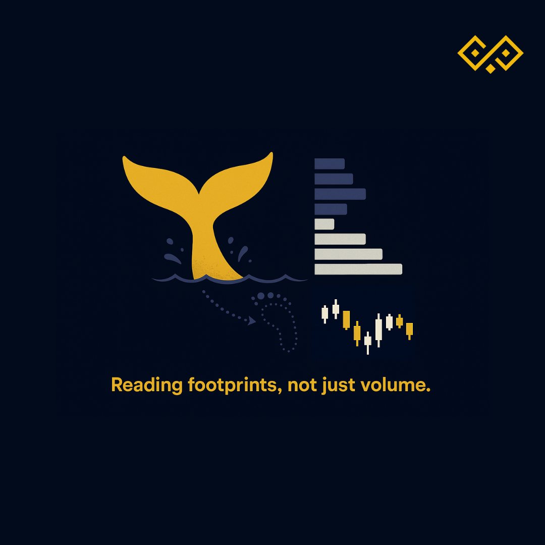 QuantSentrix 🦉 tweet media