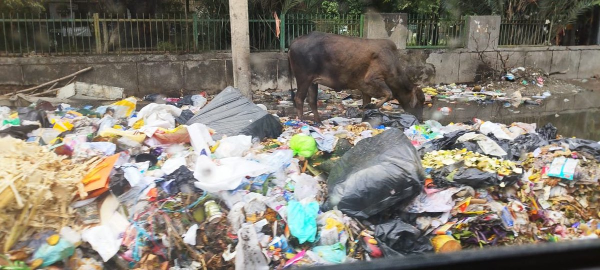 NFCRWA's tweet photo. Dhalao on Gurudwara Sahib Road,Taimoor Nagar is in a pathetic state.Urgent attention needed from MCD @manish_ch20 #TaimoorNagar #NFC @DCCNZMCD @SwachhBharatGov @SBM_MCD @AshwaniKumar_92 @RajaiqbalSingh3 @SwachhBharatGov @danikjagaran @shalinidevrani @RajatSharmaLive https://t.co/YC5NKfFmoV