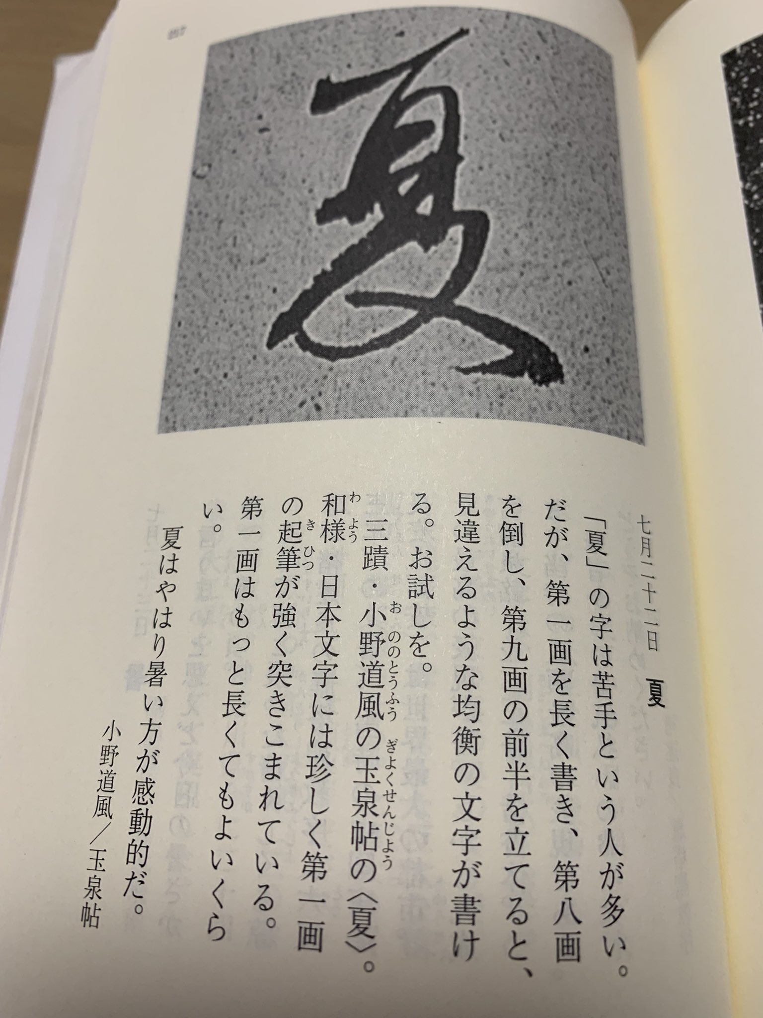 小野町子 自由🍉平和 on X: 