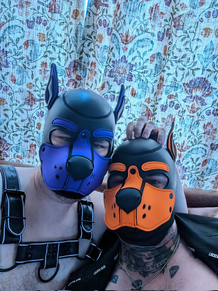 PupTaboo's tweet photo. Me and the bestest boy!! @AldurfoxAD 😍❤️ https://t.co/X71WflD8fX