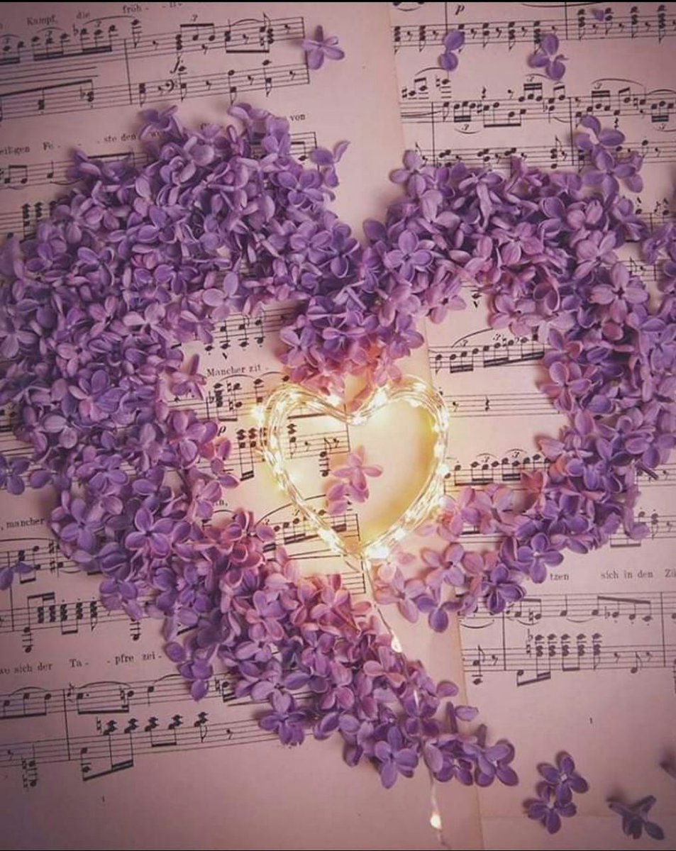 كُن مزهراً أينما حللت ، وأتـرك في النفوس عبقاً لا تبـدده الأيام 🌸💜 "