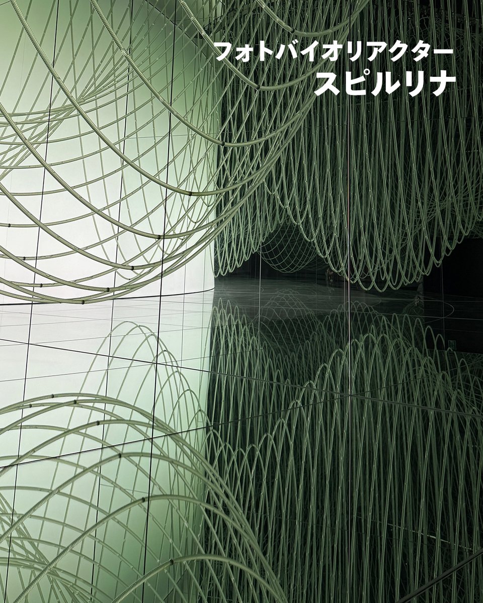 japanpavilion_j's tweet image. /
#日本館 ファームエリアの裏側を初公開🎉
\
日本館では、水・光・CO₂を使って光合成をし、油やたんぱく質等を作ることができる藻類をフォトバイオリアクターや見えない水族館として展示しています💡…