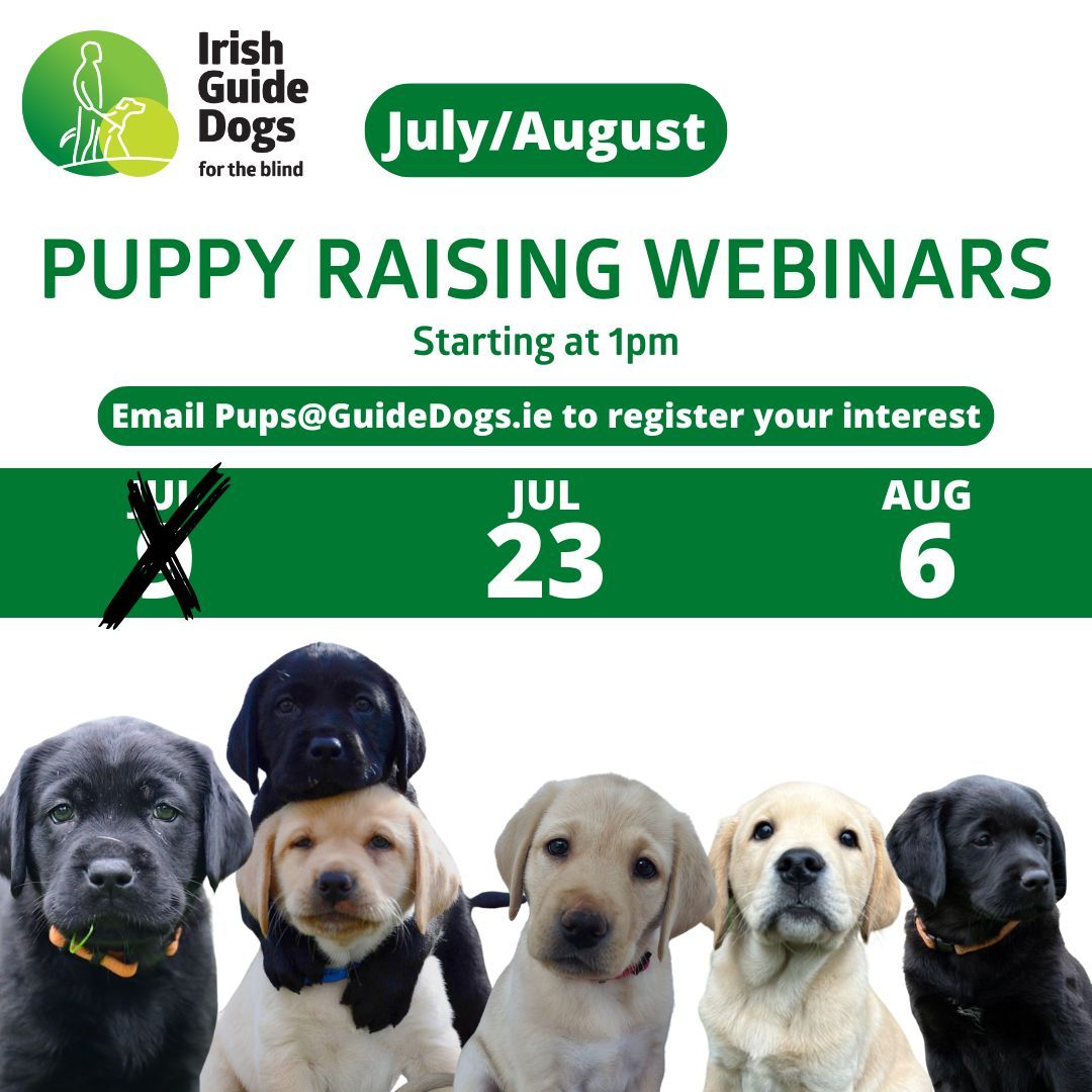Irish Guide Dogs for the Blind (@irishguidedogs) on Twitter photo Our FREE Puppy Raising Webinars are continuing tomorrow afternoon Wednesday 23rd July at 1pm!
If you’re interested in becoming a Puppy Raiser, then register to find out more. Please email Pups@GuideDogs.ie
#ChangingLives Our FREE Puppy Raising Webinars are continuing tomorrow afternoon Wednesday 23rd July at 1pm!
If you’re interested in becoming a Puppy Raiser, then register to find out more. Please email Pups@GuideDogs.ie
#ChangingLives