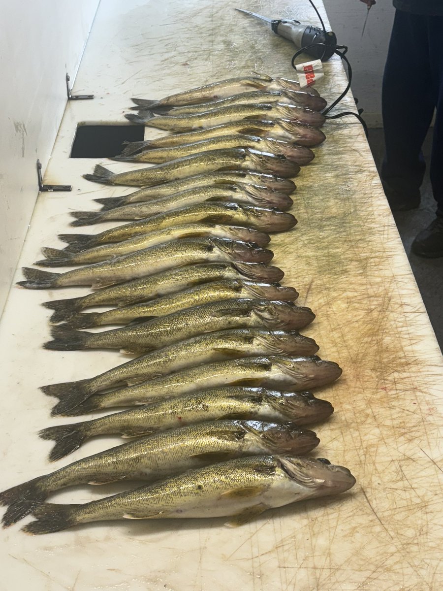 Yesterday we had a great morning of fishing and then the rain came.