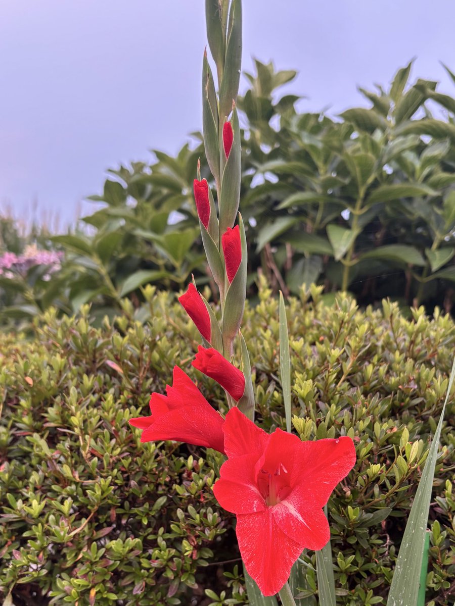 utZlp9IMqX14344's tweet image. 今日も暑かったです🥵🥵🥵
みんなも無事一日終われましたか
暑くて寝不足になっていませんか
もうゆっくりしましょうよ👋🤗
