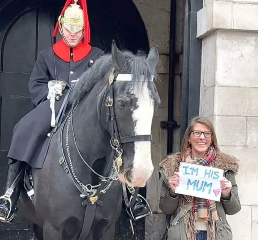 I can’t believe she gave birth to a horse.