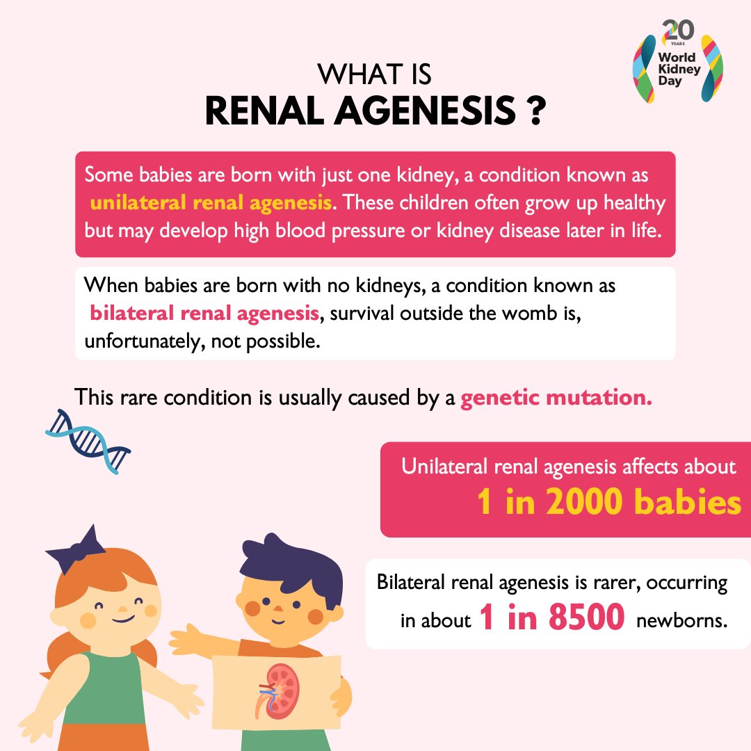 There are two types of renal agenesis: unilateral, where one kidney is missing, and bilateral, where both are absent.
Since kidneys are essential to remove waste from the body, at least part of one is needed to survive.
#WorldKidneyDay #AreYourKidneysOK #KidneyHealthMatters