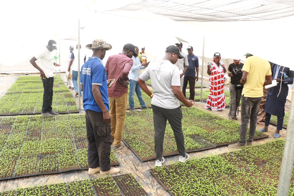 🌾 12 porteurs de CSA en mission d’échanges dans les Niayes &amp; la Vallée du fleuve 🇸🇳

🎯 Objectif : s’inspirer des bonnes pratiques pour renforcer les services agricoles.

🤝 Une initiative @SENAD / <a href="/lefndasp/">FNDASP</a> avec <a href="/EnabelauSenegal/">Enabel 🇧🇪🇸🇳</a> &amp; l’<a href="/UE/">Unearthed</a>.

#GungeMbay #CSA #EntrepreneuriatRural