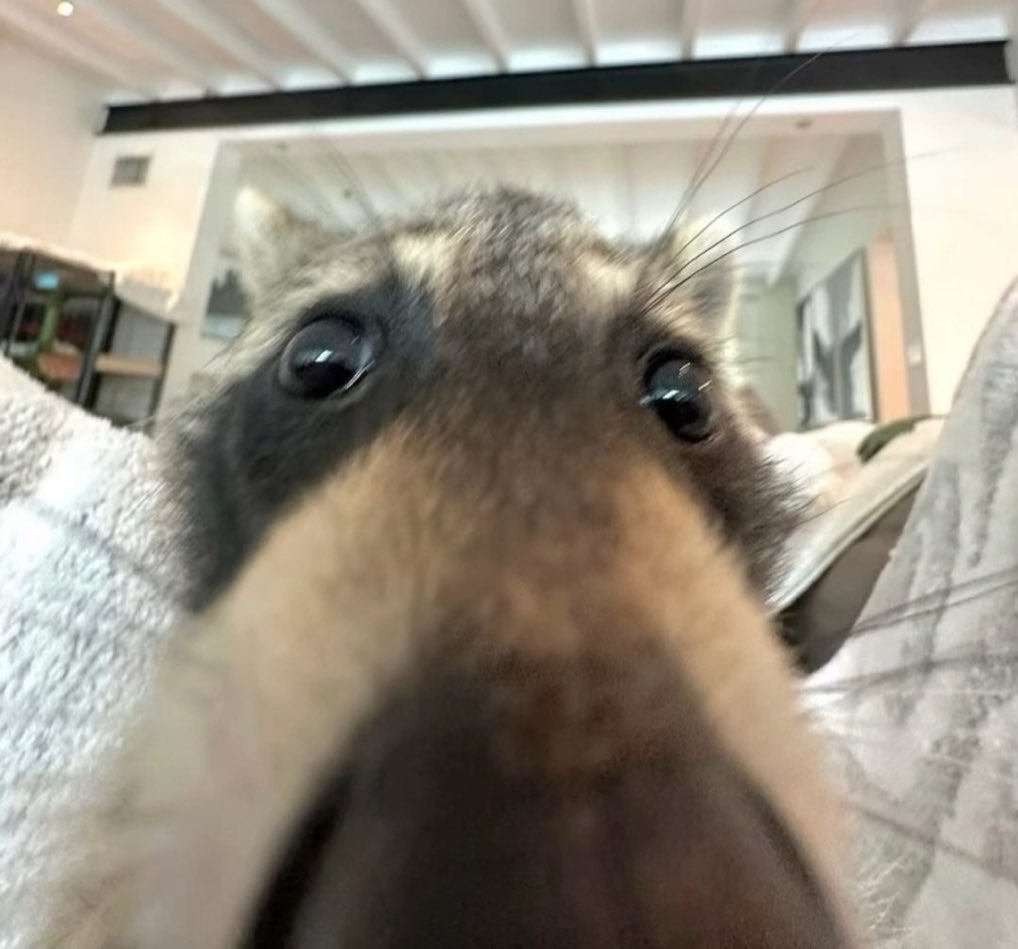 BryanDMcNally's tweet image. I’m pretty sure this is the face of someone who wants a snack…
