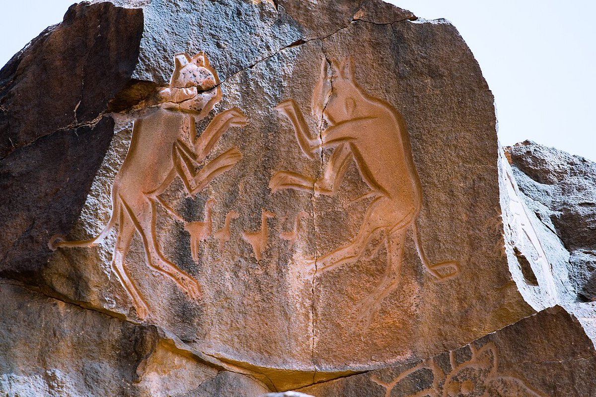 beforethewest's tweet image. In the heart of Libya’s 🇱🇾 Mesak Settafet plateau, the Wadi Mathendous region hides a treasure of prehistoric rock art, including one of its most iconic carvings: two rampant lionesses, famously dubbed Meerkatze by German archaeologist Leo Frobenius. These lionesses, carved in a…