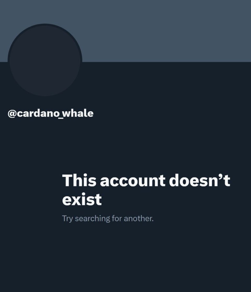 Who cares?

We as a culture love putting people on a pedestal for reasons unknown to me. 

Don’t get me wrong, <a href="/cardano_whale/">whale</a> had great perspectives and ambition for Cardano, and executed. 

His following was large and his wallet was fat, but what does any of that mean in a