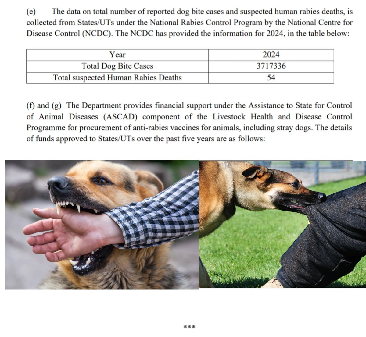 We can’t ignore this any more! #Streetdogs