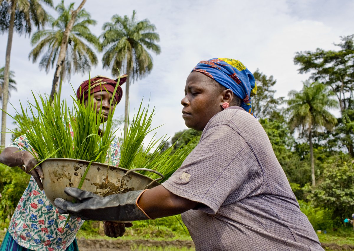 UNDPClimate's tweet image. Great climate news 🌍
@theGEF approves $40M from the Least Developed Countries Fund to help Liberia, Malawi & Rwanda scale nature-based climate solutions.
Around 800,000 people will benefit through stronger ecosystems & improved resilience.
Learn more: go.undp.org/wJ3