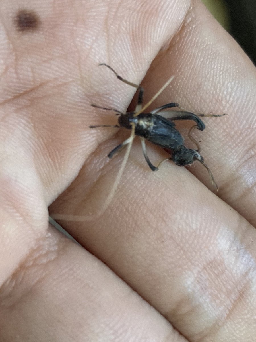 伊丹 琢家@PROPEL tweet media