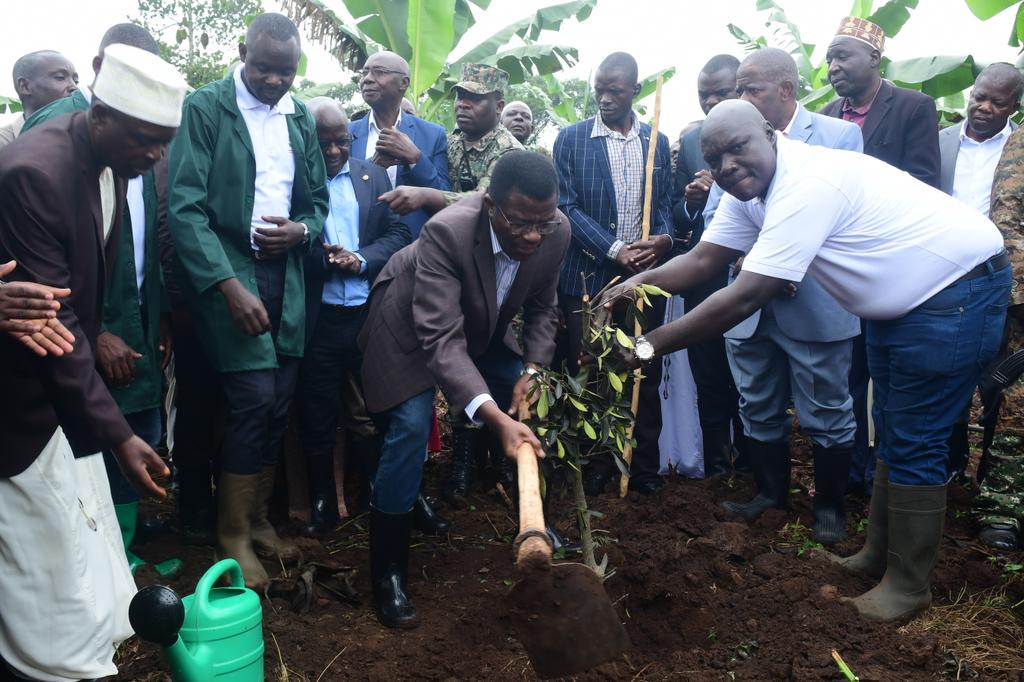 BugandaKingdom_'s tweet image. Katikkiro atongozza enteekateeka y'okugaba emizinga gy'enjuki giyambeko okuwakisa emmwanyi. Asinzidde ku kyalo Ddiikwe ne Makukuba n'akwasa abalimi mu bitundu emizinga gino.
Mu buufu bwe bumu alangiridde kaweefube w'okusimba emiti emituba mu nnimiro giyambeko ku kisiikirize,…