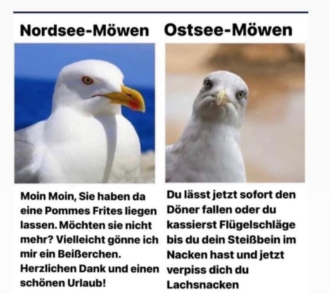 TwaPaloma3's tweet image. Sommerferien in fast ganz Deutschland. Und viele verbringen ihren Sommerurlaub in unserem schönen Norden.
Wenn ihr gerade nicht wisst wo ihr gerade seid...an welchem Meer 🌊 im Norden, dann haltet einfach ein Fischbrötchen an der Strandpromenade in die Luft.
Viel Spaß 😁😁