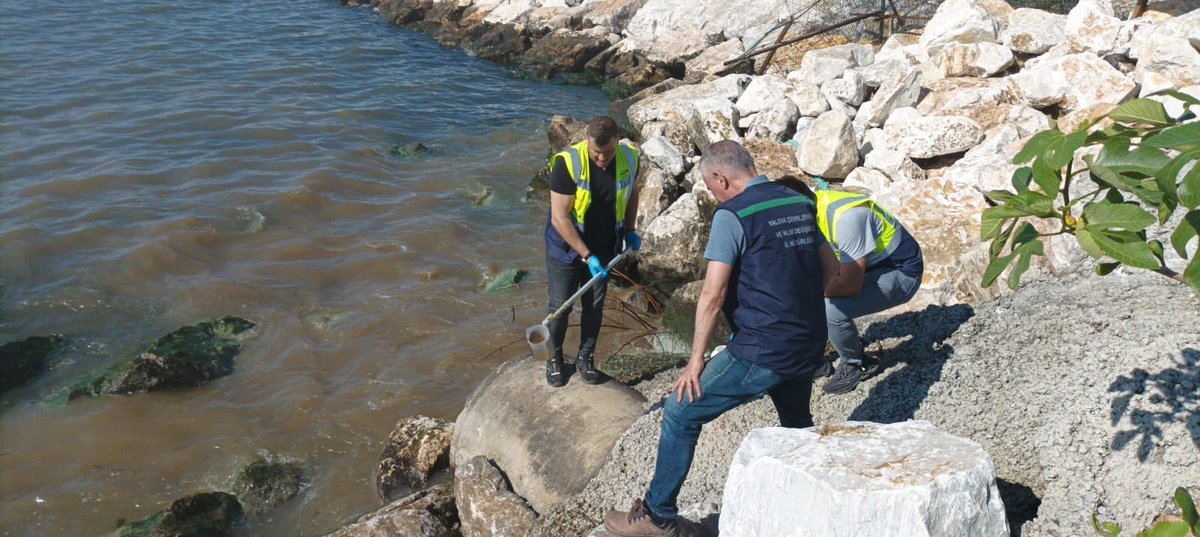 csbgovtr's tweet image. Bakanlığımız İl Müdürlüğü ekiplerince gerçekleştirilen denetimlerde Yalova'da, yağmur suyu hattından denize arıtılmamış kentsel atık su deşarjı yapıldığı tespit edildi.
Çevre Kanunu'na istinaden, Marmara Denizi ve Adalar Özel Çevre Koruma Bölgesi alanındaki deniz kirliliği ile…