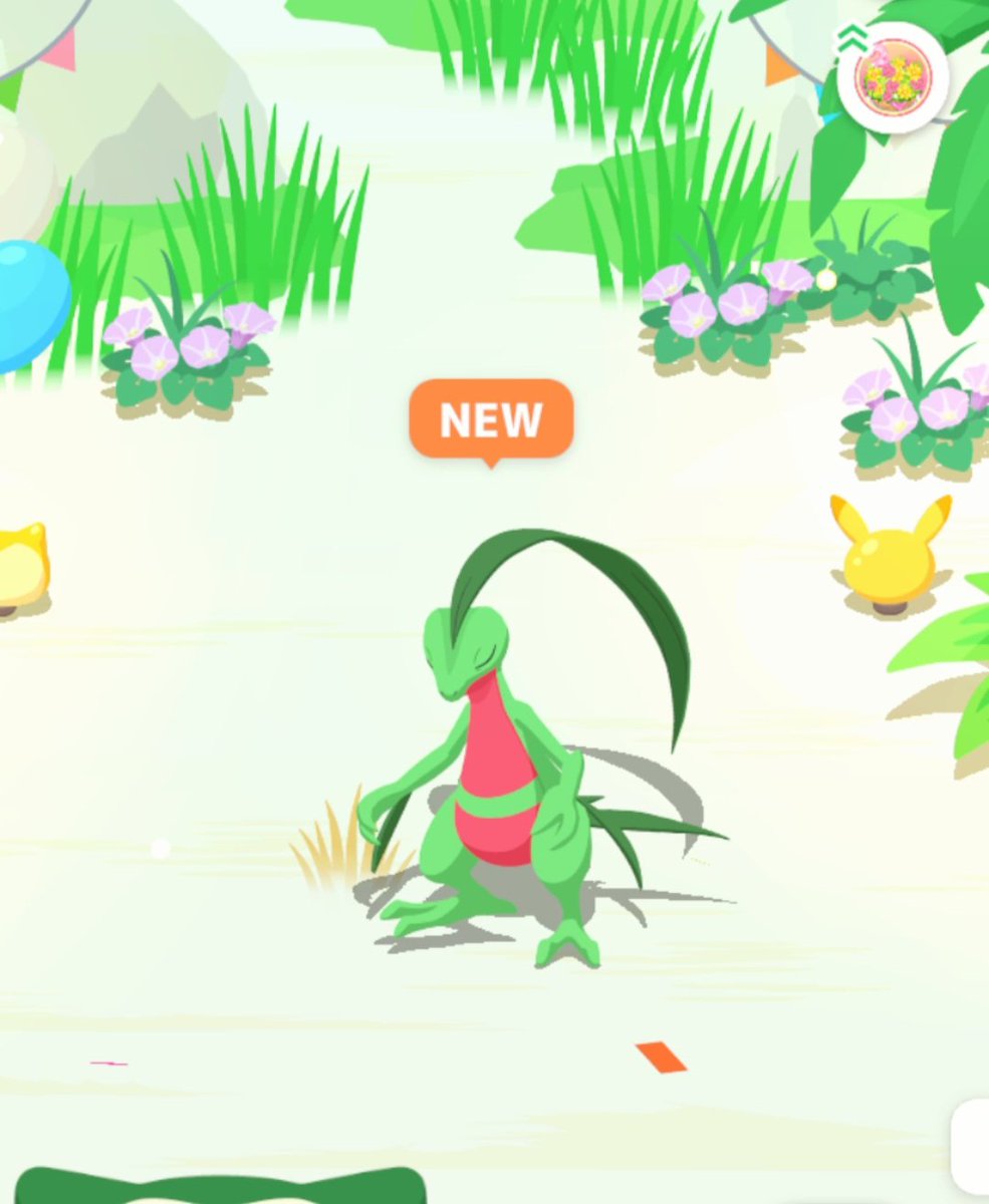 AidanWade8's tweet image. #PokemonSleep2nd #PokemonSleep
Grovyle!