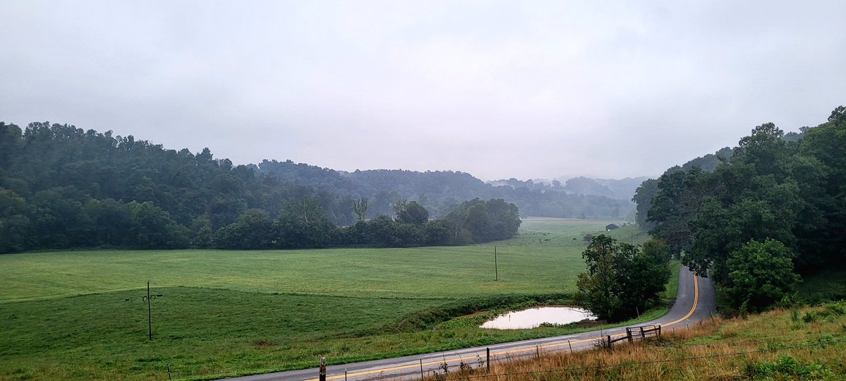longhunter09's tweet image. Good morning from the foggy foothills of the Misty Mountains