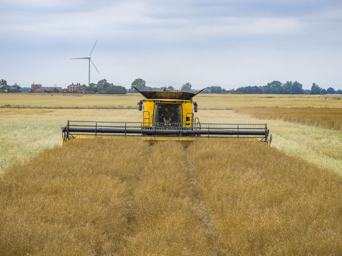 Harvest 2025 Kicks Off

We’ve made a start on the oilseed rape, marking the beginning of this year’s harvest. The grain is fit, but the straw’s still pretty green, and we’ve had to dodge a few showers to find the right window.

#harvest2025 #Rockscape