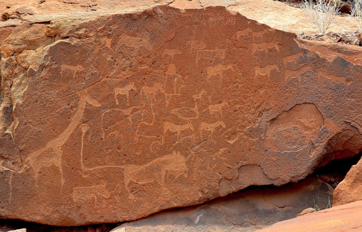 beforethewest's tweet image. At the heart of Namibia’s 🇳🇦 Twyfelfontein valley lies one of Africa’s most iconic rock art panels: the Lion Plate. Carved into the desert stone by the San people over 2,000 years ago, this petroglyph is both a masterpiece of prehistoric expression and a sacred cultural artifact.…