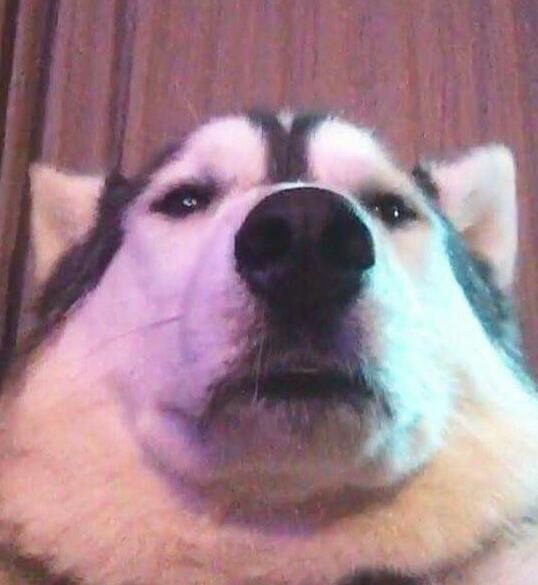 byJoka's tweet image. POV of when you ask someone to explain why they think a character is strong but they don't provide any reasoning