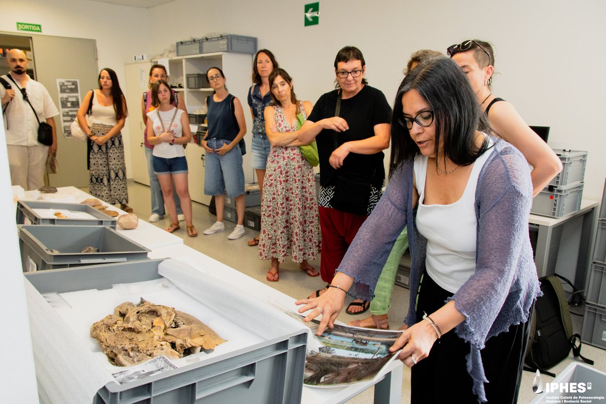 Aliances Magnet (@aliancesmagnet) on Twitter photo Així va ser la visita del claustre de l’Escola Les Eres de Creixell a l'<a href="/iphes/">IPHES-CERCA</a> amb el formador, el Dídac Andrés, que els acompanyarà en l'#AliançaMagnet🧲.
Les investigacions de l'equip científic segur que seran inspiradores per dissenyar el projecte #Magnet el pròxim curs!🙌 Així va ser la visita del claustre de l’Escola Les Eres de Creixell a l'<a href="/iphes/">IPHES-CERCA</a> amb el formador, el Dídac Andrés, que els acompanyarà en l'#AliançaMagnet🧲.
Les investigacions de l'equip científic segur que seran inspiradores per dissenyar el projecte #Magnet el pròxim curs!🙌