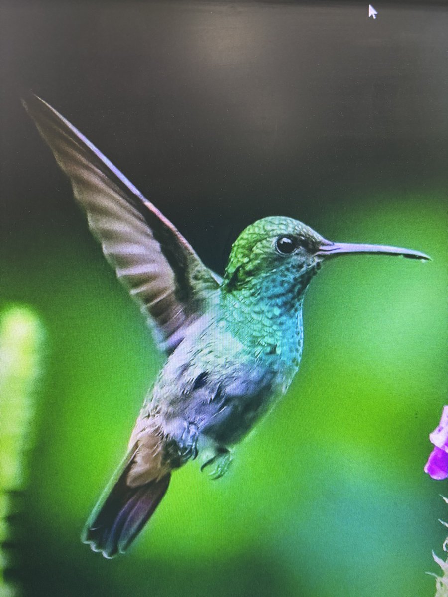 faith_0102's tweet image. Hello and good morning my friends! I pray today brings you joy and peace. 🥰🥰🥰