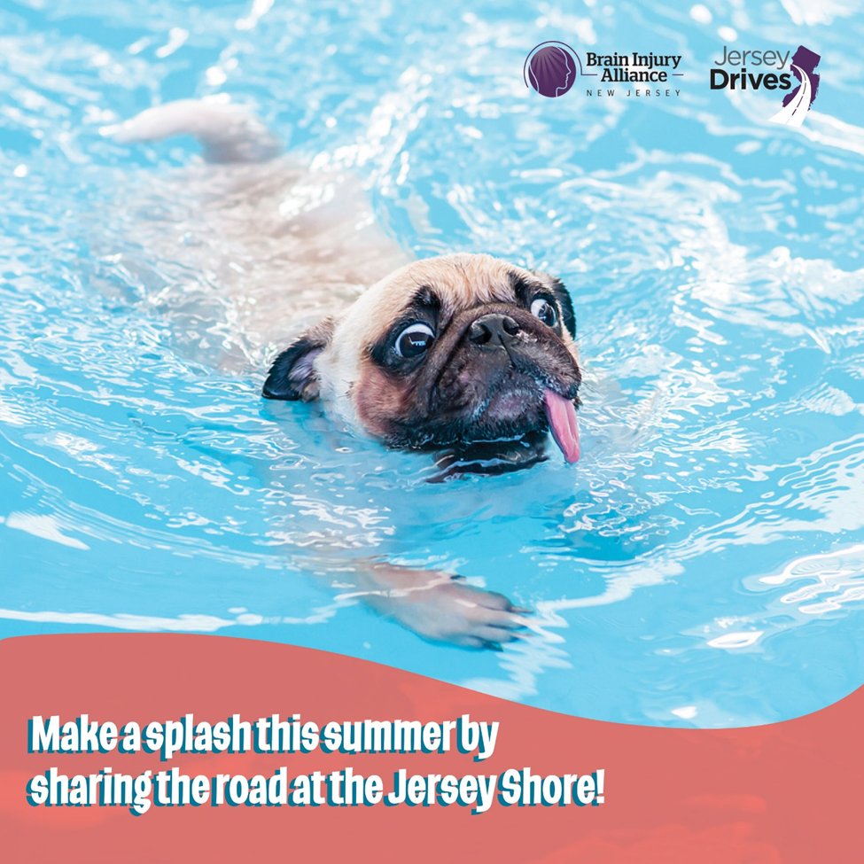 Slow down &amp; share the road at the Jersey Shore this summer! 🚗🚲🚶‍♂️ Keep everyone safe—watch for pedestrians, cyclists, and fellow drivers. 🌊☀️#ShareTheRoad #JerseyShoreSafety #SafeRoadsNJ