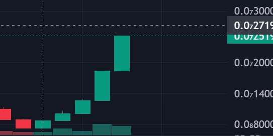 ztrader369's tweet photo. This is the weekly of $omnom on doge chain. As you can see there is absolutely 0 WICK. 0 Sellers. It did this before. It did a full 250x before finding sellers. Details on how to buy this gem paired with $doge and the beta no liquidation beta on Doge Etf speculation @omnomtoken https://t.co/JnhEPSS3c9