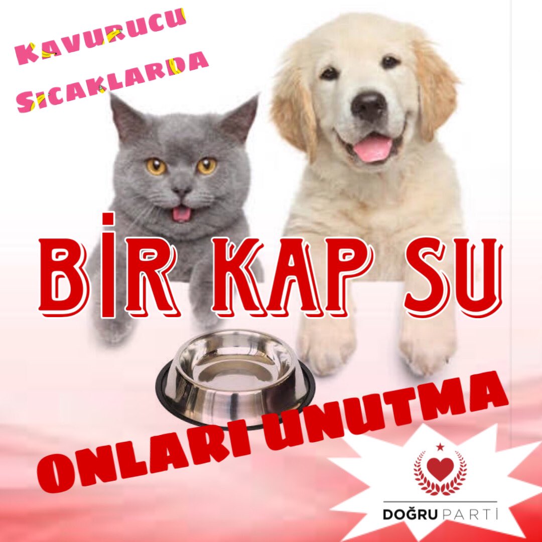 #BirKapSu #BirKapMama #BirKapSuBirKapMama 
#DoğruParti 
#ÇobanAteşiHareketi 
#TürkMilleti
