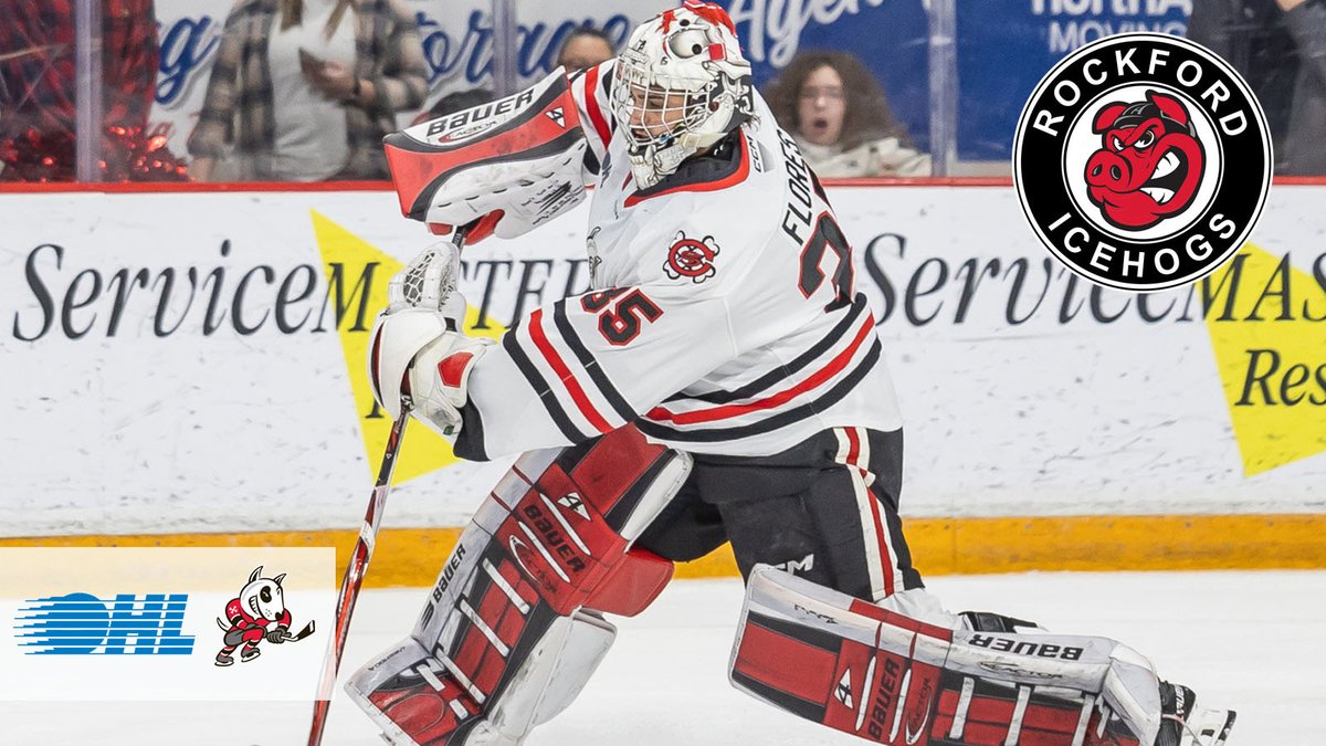 OHLHockey's tweet image. IceDog ➡️ IceHog
The steady @OHLIceDogs overage goaltender has signed a one-year contract with the @goicehogs!
DETAILS 🗞️: tinyurl.com/2s3dvsxe