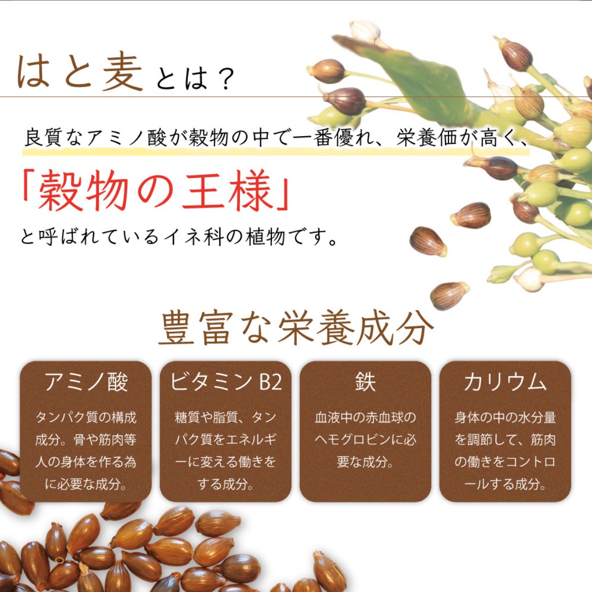 omoochichi's tweet image. ハトムギ茶飲むと肌めちゃ綺麗になるらしいんだけど結構マジかも、飲み始めてから1ヶ月くらいなんだけどくすみ飛んだイメージ