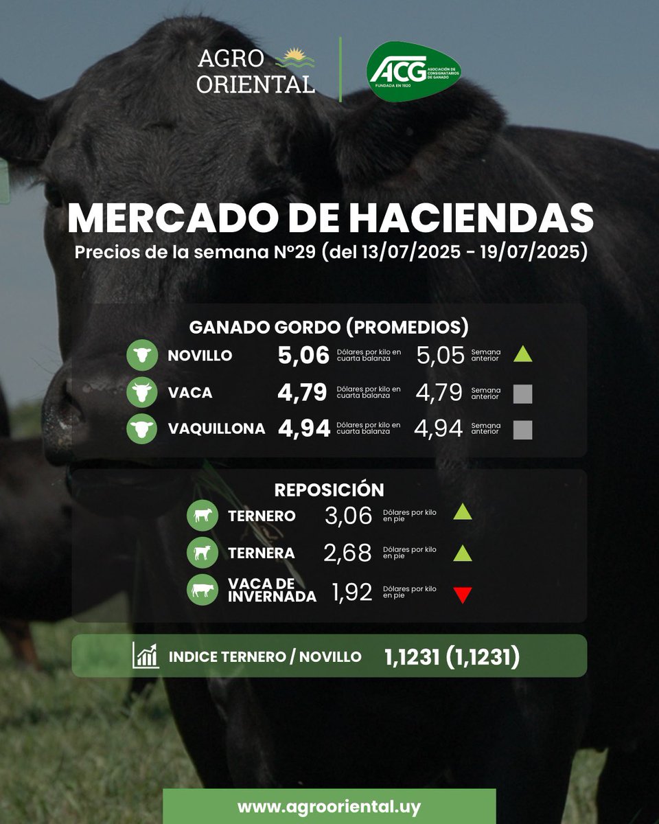 🐂 𝗠𝗘𝗥𝗖𝗔𝗗𝗢 𝗗𝗘 𝗛𝗔𝗖𝗜𝗘𝗡𝗗𝗔𝗦
Precios de la semana N°29 (del 13/07/2025 - 19/07/2025)

AgroOriental, una nueva forma de ver el campo.
📲 Por más info: agrooriental.uy