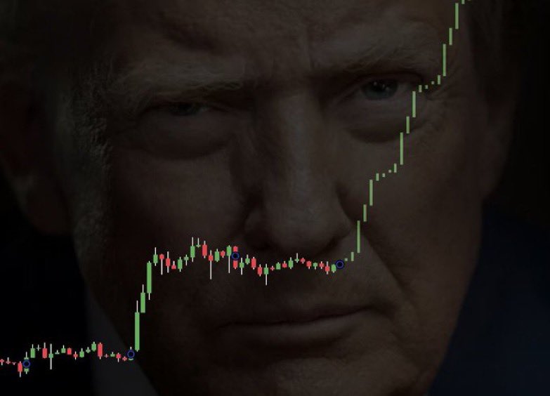 Gordon 🐂 tweet media