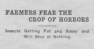 JamesTate121's tweet image. Published in The Salina Daily Union, Kansas, June 19, 1908.
At that time, Kansas farmers regularly faced waves of locusts, grasshoppers, or other pests that could destroy wheat and corn fields overnight. On top of that, drought, blight, or hailstorms could wipe out the year’s…
