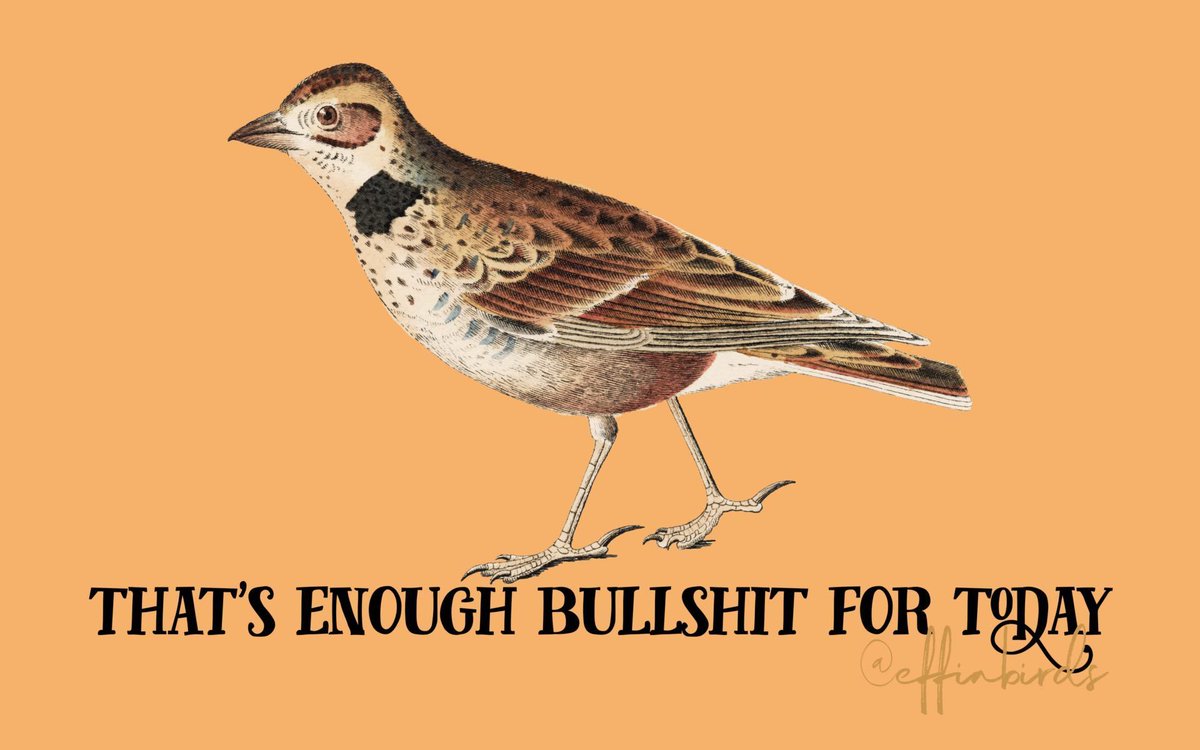 EffinBirds tweet picture