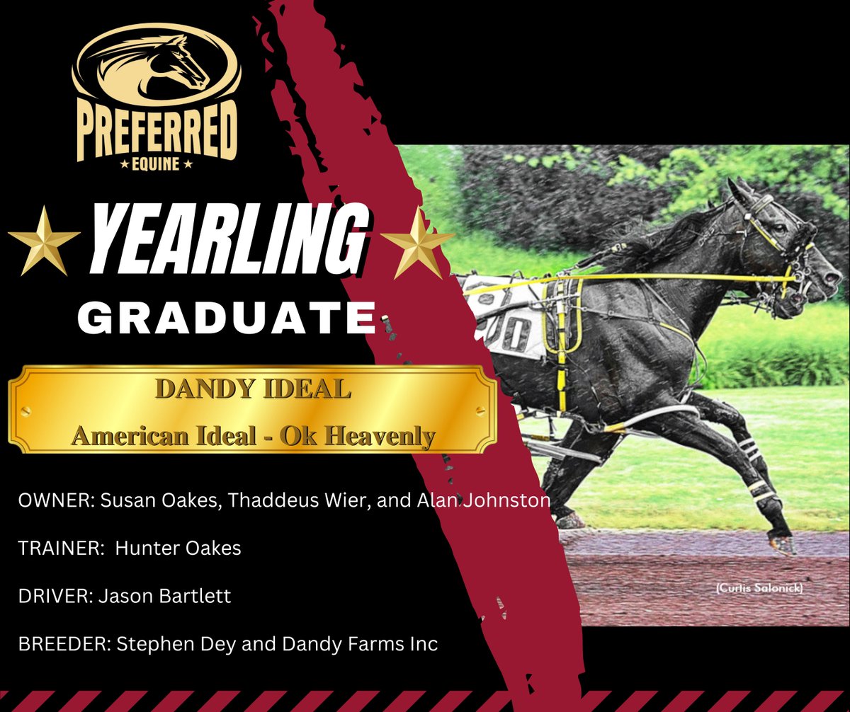 Congratulations to Preferred Equine yearling sale graduate DANDY IDEAL on winning the New York Sire Stakes at Monticello.

Dandy Ideal  was sold by Preferred Equine as agent from the 2023 Harrisburg Yearling Sale.

🎉Congratulations to all connections!