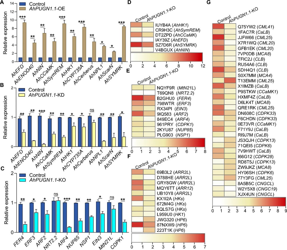 #aBIOTECH_Online_First👍👍👍
Nodule-specific AhPUGN1.1 positively regulates nodulation in peanuts
link.springer.com/article/10.100…