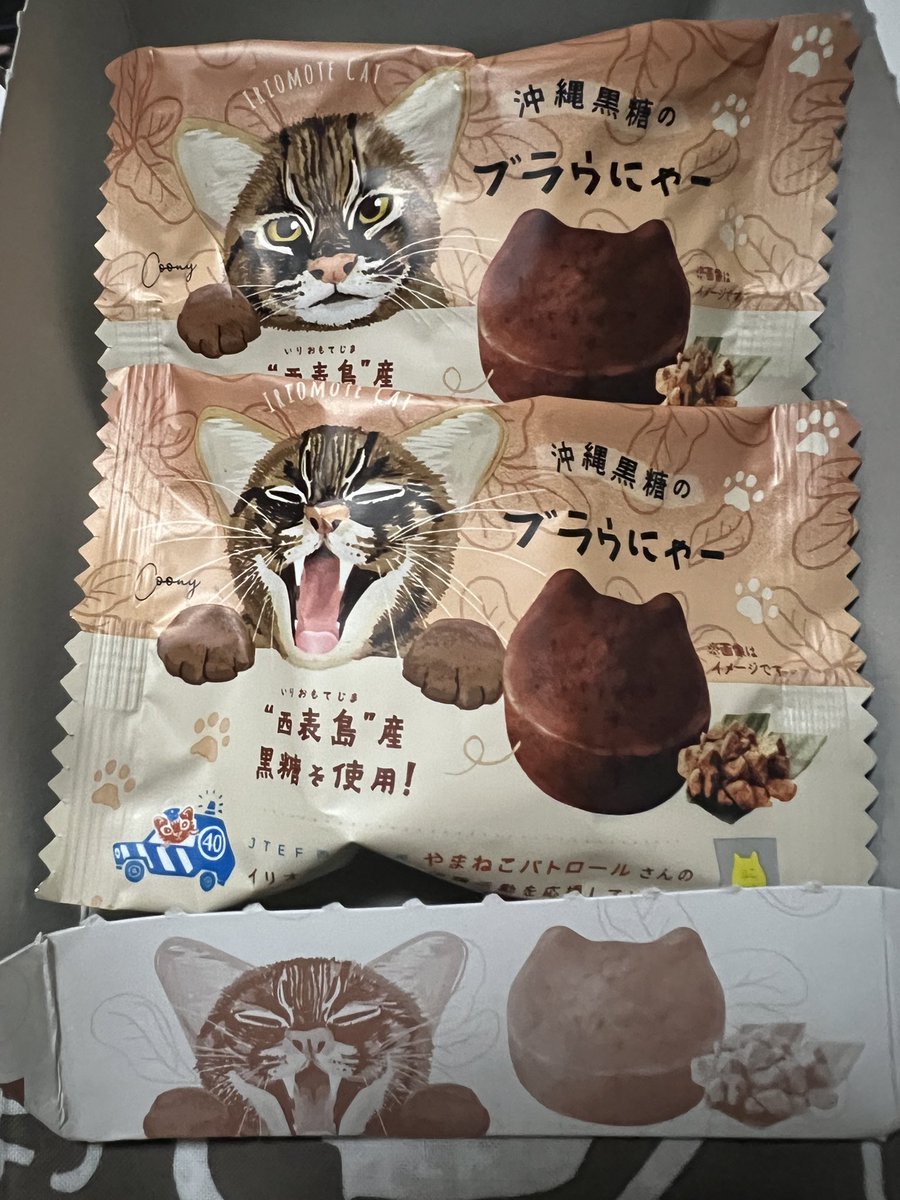 PGkXoqYKBwQ2ajk's tweet image. イリオモテヤマネコver沖縄黒糖入りの「ブラウにゃー」、箱も一緒に手に入れてしまった💓 ツシマヤマネコverも欲しいな🙏
#アカツキ
#ツシマヤマネコ
#福岡市動物園
#ヤマネコ
#leopardcat
#対馬
#tsushimaleopardcat
#ブラウにゃー #イリオモテヤマネコ
