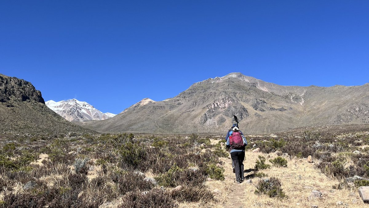 k_gaidzik's tweet image. If you want to trench, do it high (at least 4300 m asl) and close to volcanoes #Colca #Peru
#palaeoseismology #activefaults
Fieldwork for #NCNOpus @NCN_PL