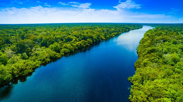 SiteTheWeekndBR's tweet image. O objetivo do Global Citizen Festival 2025 é:
🌿 Proteger a Amazônia
Mobilizar +US$ 200 milhões para preservar 30 milhões de hectares e apoiar o desenvolvimento liderado por povos indígenas.
📚 Educação para 30 mil crianças
Com apoio da FIFA, o festival quer garantir acesso ao…
