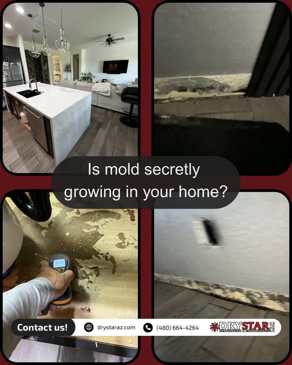 You can’t always see mold… but it can still affect your health and your home.

Behind baseboards, under cabinets, inside walls — moisture creates the perfect breeding ground for hidden mold.

#DryStarRestoration #MoldRemediation #AZRestoration #WaterDamageHelp #HomeSafety