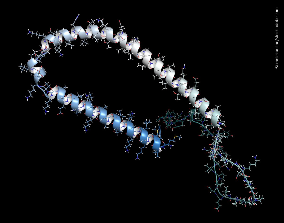 CORDIS_EU's tweet image. When a theory about the cause of #Parkinsonโs turned out to be a dead end, researchers @koebenhavns_uni changed course.
By doing so, they had a breakthrough finding. ๐ europa.eu/!xgtPQN