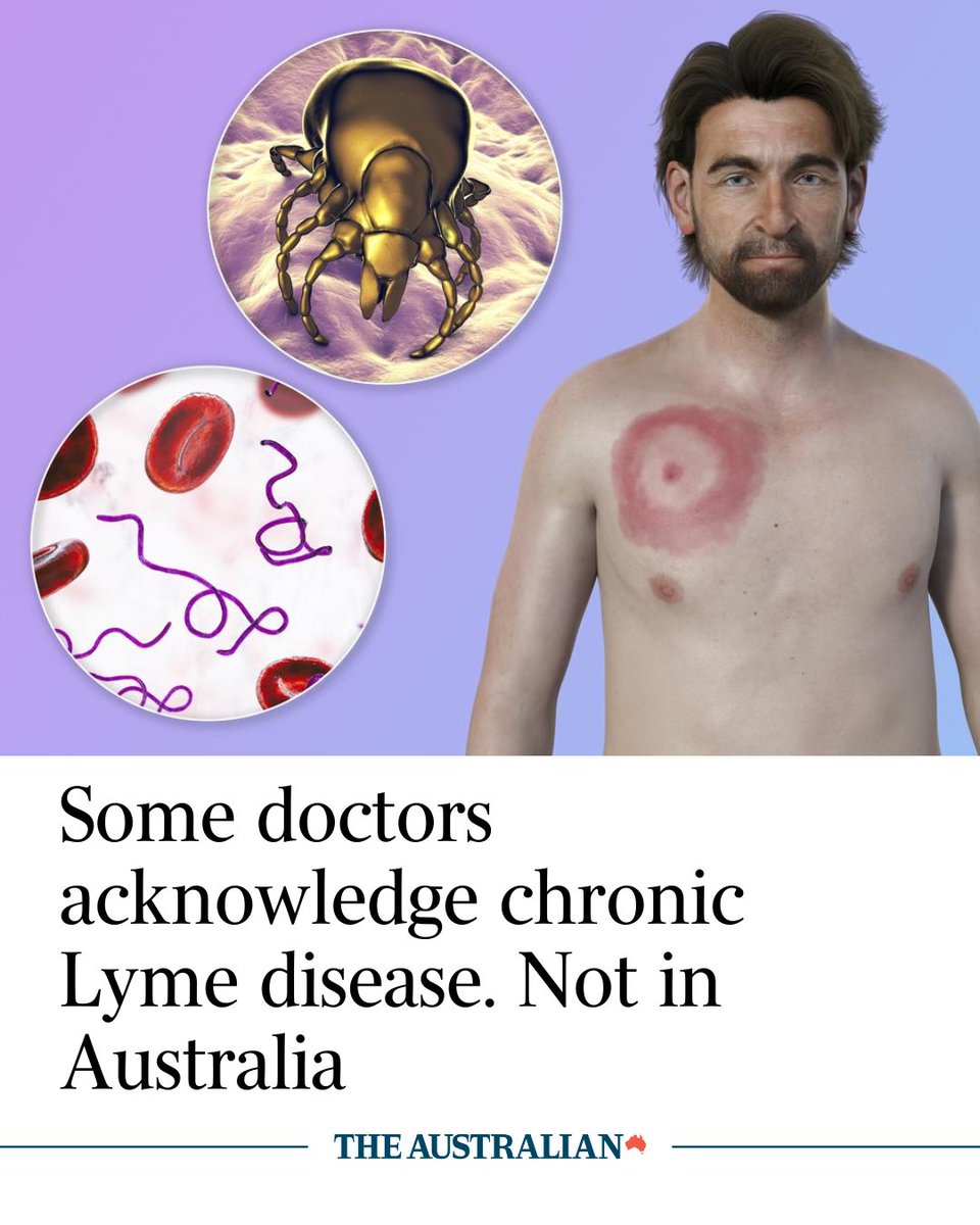 australian's tweet image. Newer trials are starting to track Lyme patients and investigate potential treatments. But in Australia the disease is not recognised. More at: bit.ly/3TRXihC
