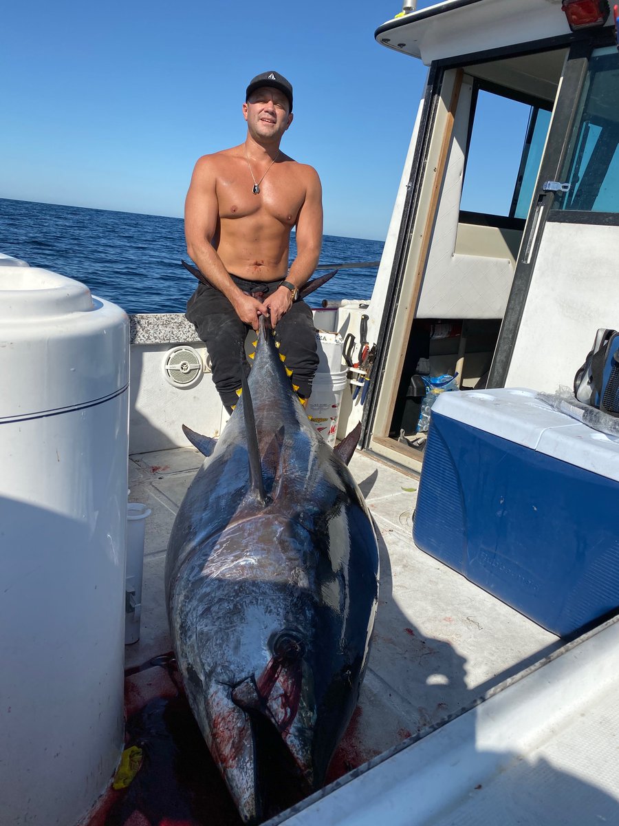 Tigre (@tigerape13) on Twitter photo GM web3!
Get out there and touch some...BLUEFIN TUNA!
Who else loves to hang fish? Show me in the comments!
<a href="/BoredFishing13/">Bored Fishing Club</a> is coming to SoCal soon! GM web3!
Get out there and touch some...BLUEFIN TUNA!
Who else loves to hang fish? Show me in the comments!
<a href="/BoredFishing13/">Bored Fishing Club</a> is coming to SoCal soon!