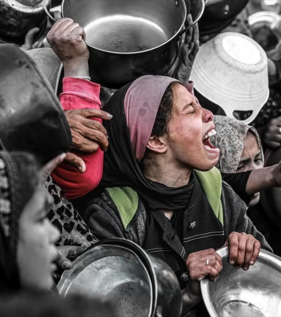 mehrakiiiii's tweet image. مردم غزه تو محاصره و بچه ها از گرسنگی هر روز دارن جونشون رو از دست میدن، بعد یه عده بی شرف با عکس غذا به این نسل ک.شی میخندن، یه عده هم با سکوتشون با اونا همدست شدن!!
شاید یک استوری یا توییت ما بتونه یک کمک کوچیکی باشه و جامعه جهانی رو برای نجاتشون بیدار کنه
لطفا بیتفاوت نباشیم.