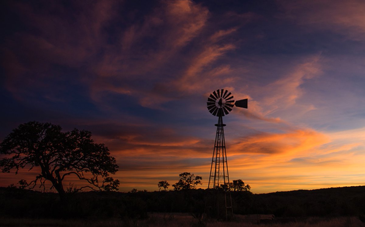 southgrace427's tweet image. Another gorgeous piece of Americana...
Texas...
Thank you Jerry Lee...
Another beauty...
๐๐๐งก๐๐ฉท๐ค