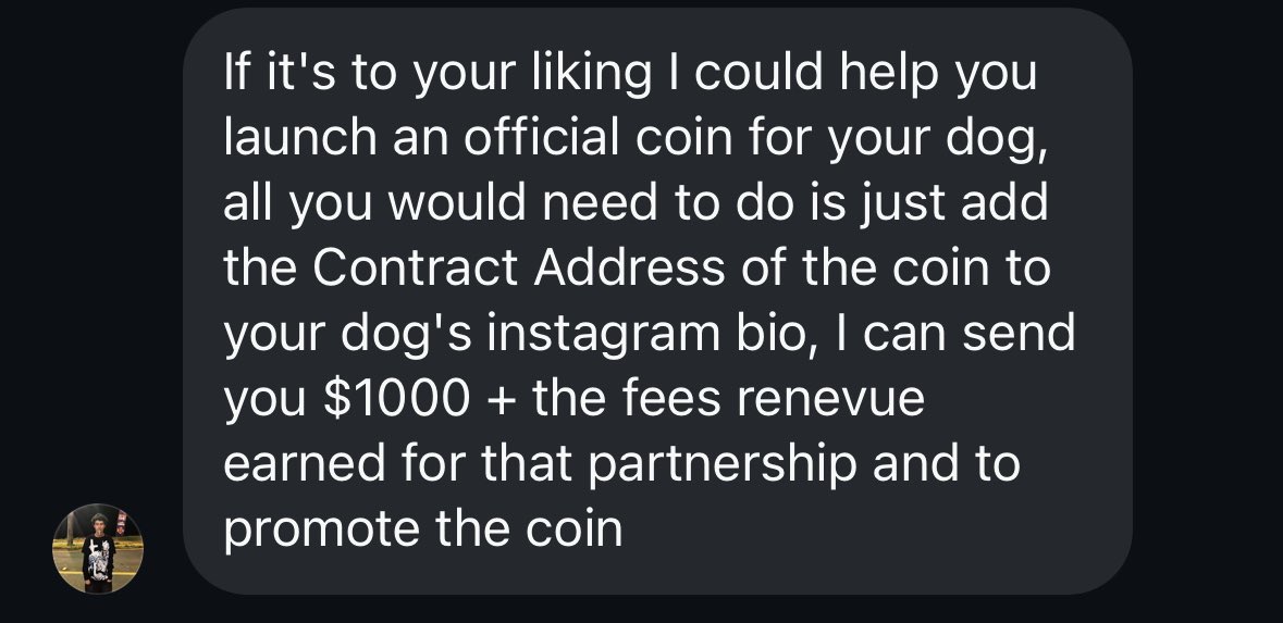nonplayablecin's tweet image. memecoin szn incoming, theyve found my dogs instagram and are spamming me to launch a token of her