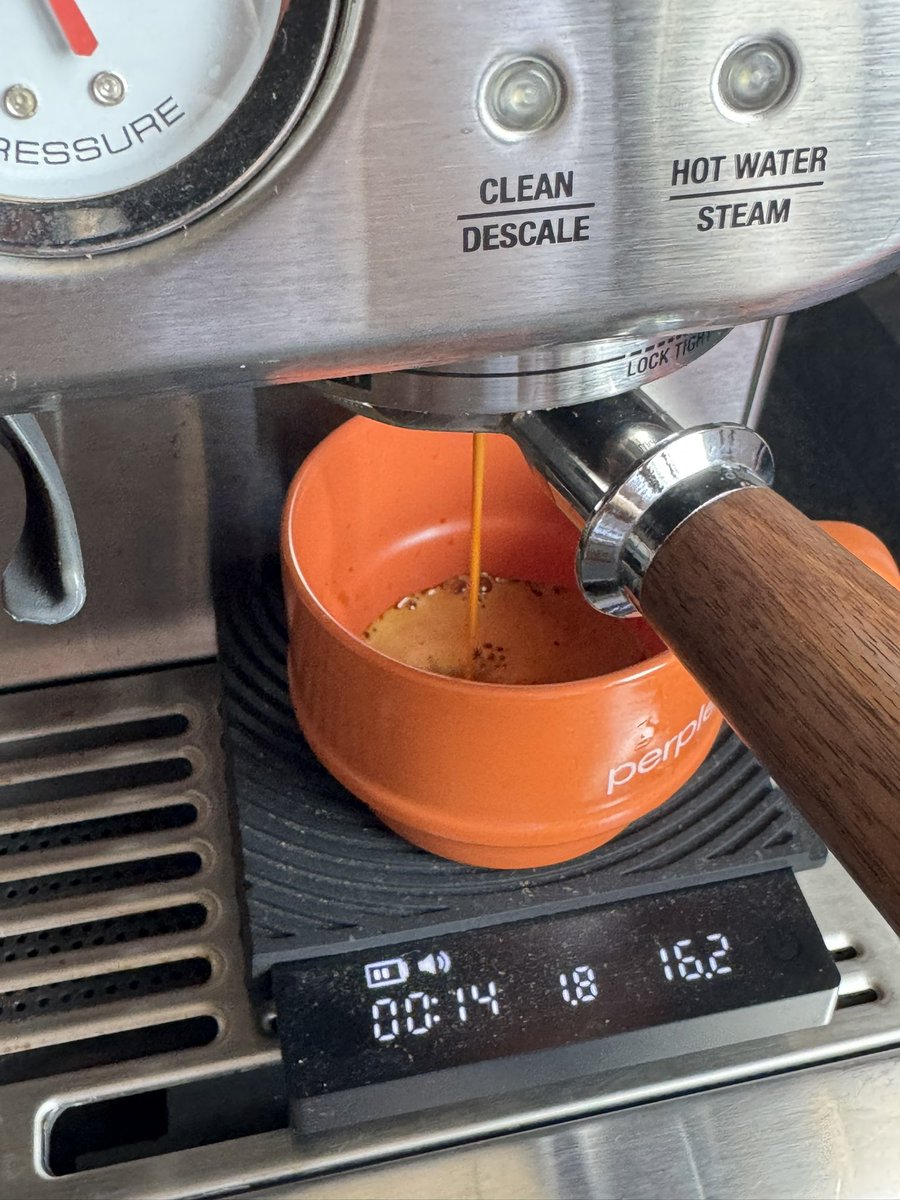 obnol1's tweet image. slow mornings
